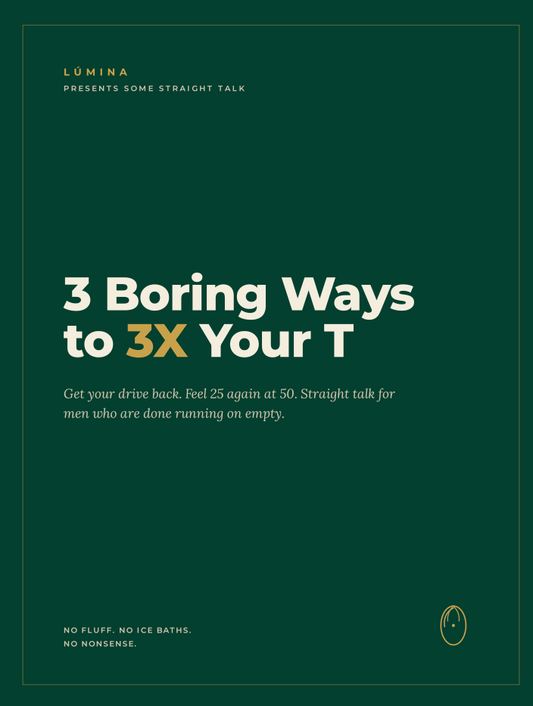 3 Boring Ways to 3X Your T - E Book
