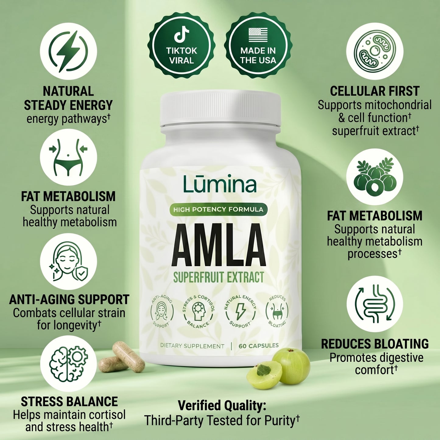 Amla Superfruit Extract