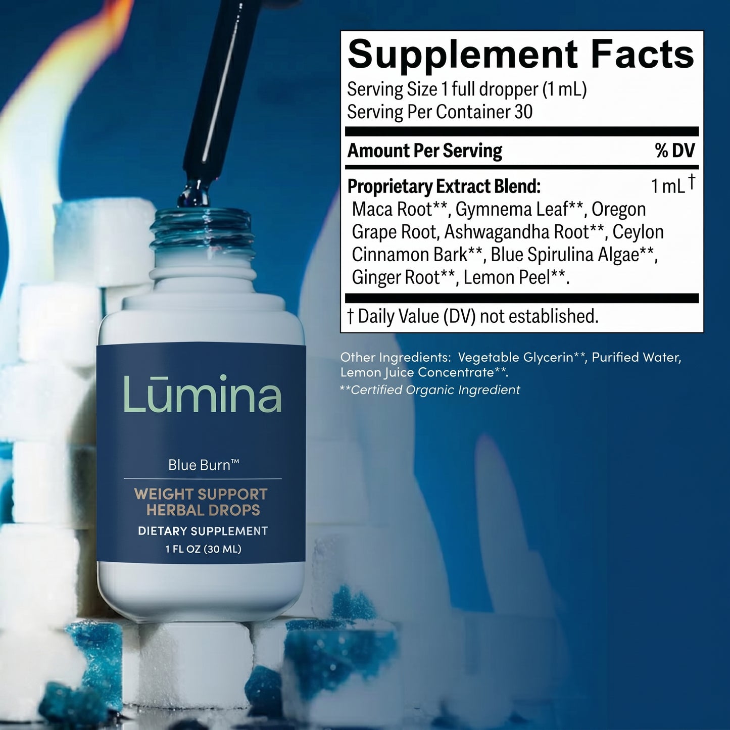 Metabolic Support Complex